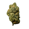 Grease Monkey