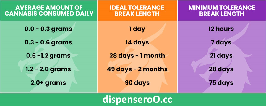 Cannabis tolerance breaks, a holy grail for your pleasure