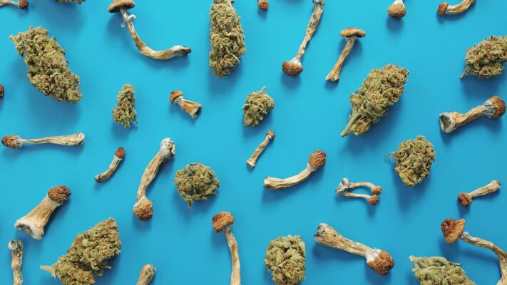 Marijuana vs. Psychedelics A comprehensive analysis