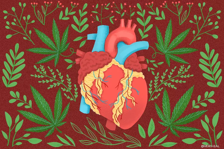 Do you know the impact of cannabis on heart health?
