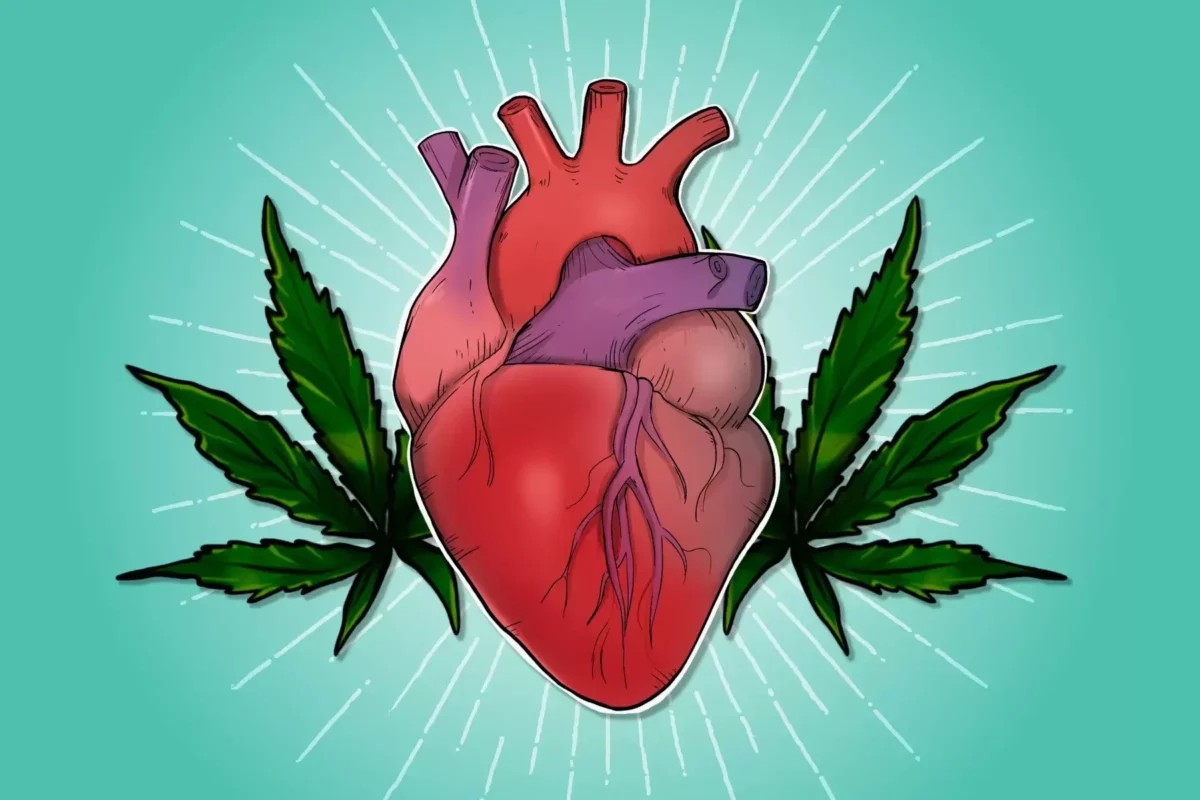 Do you know the impact of cannabis on heart health?