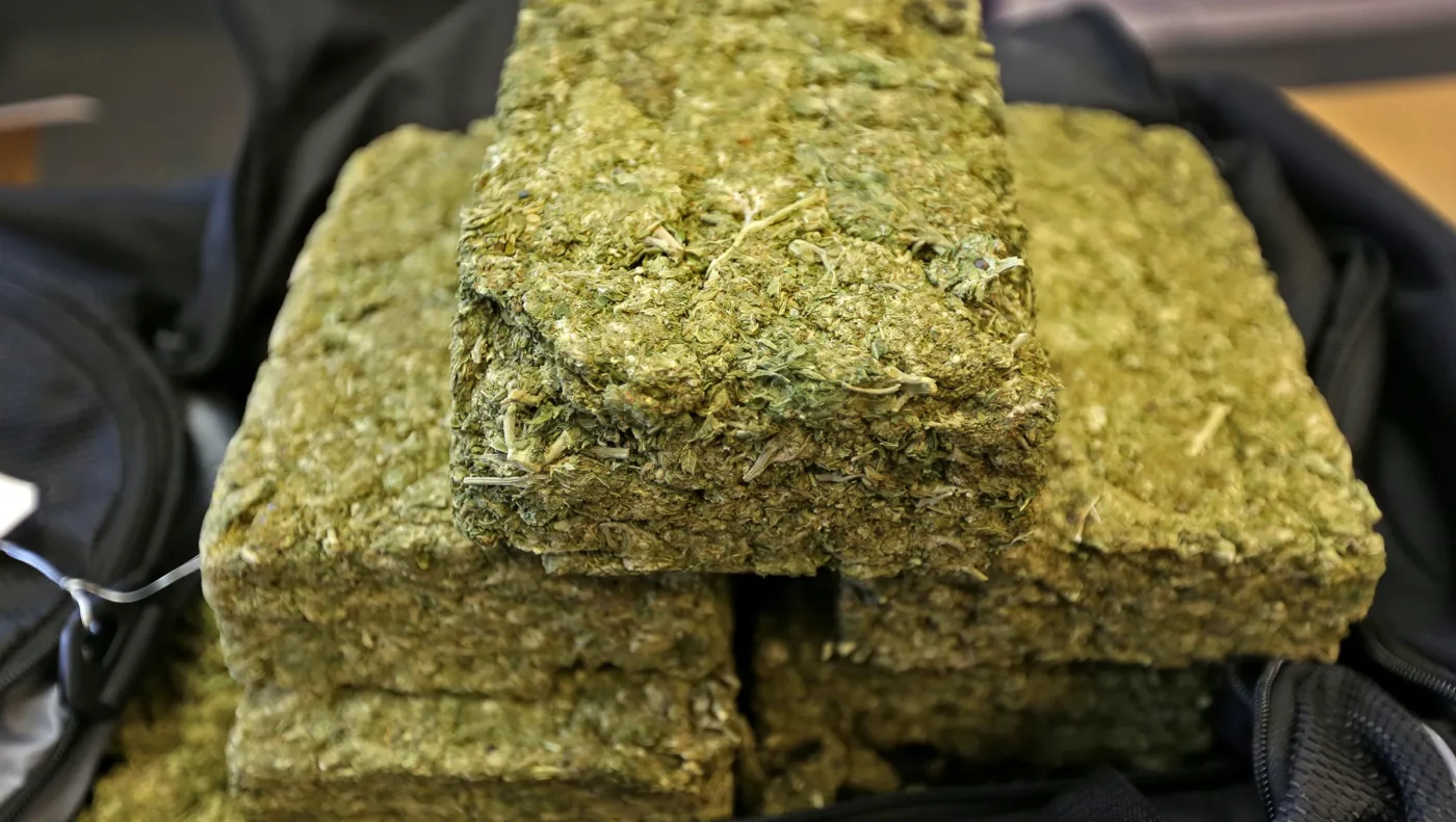 What is Reggie weed Is it safe and should you avoid it
