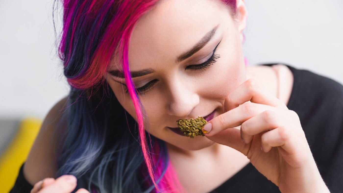 How to spot a high-quality cannabis A comprehensive guide