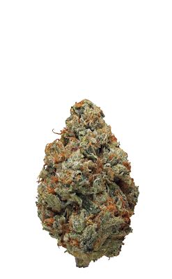 dispenseroO_Premium-buds